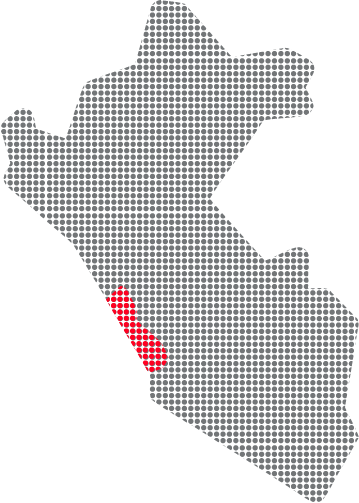Motorysa_presencia_peru